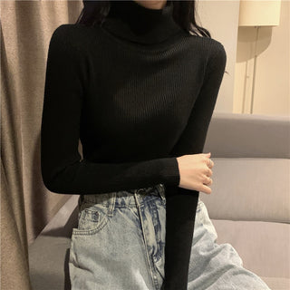 Buy black Turtleneck  Woman Knitted  Sweaters 2022