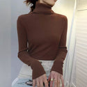 Turtleneck  Woman Knitted  Sweaters 2022