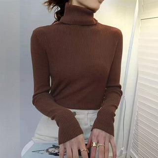 Buy brown Turtleneck  Woman Knitted  Sweaters 2022