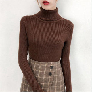 Autumn Winter Knitted Jumper Tops turtleneck Pullovers Casual Sweaters. - Fashionontheboardwalk