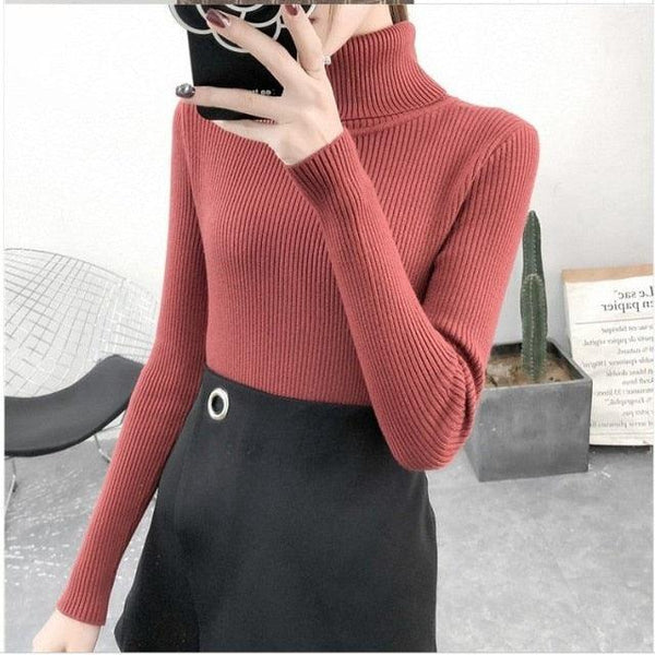 Autumn Winter Knitted Jumper Tops turtleneck Pullovers Casual Sweaters. - Fashionontheboardwalk