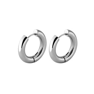 Buy 209024 Gold Silver Color Stainless Steel Hoop Earrings for Women.